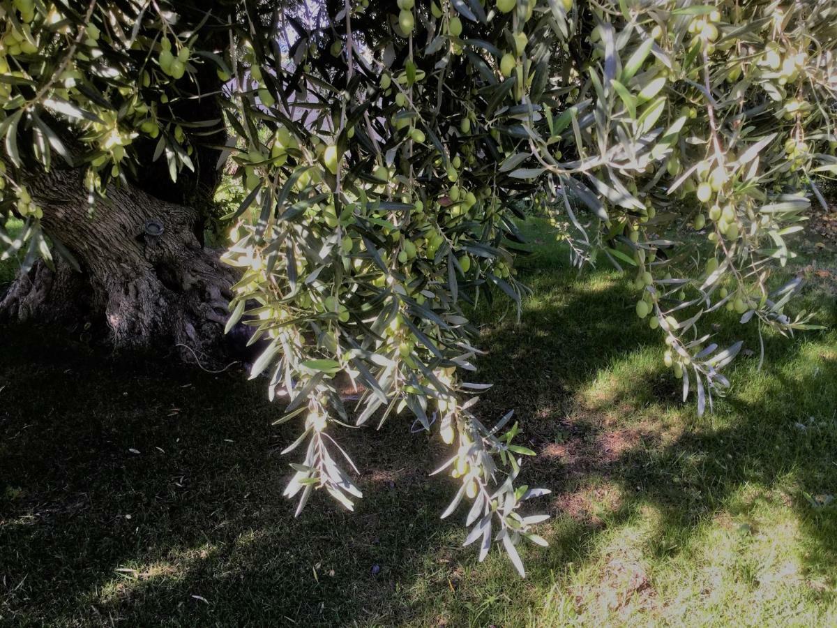 Il Dono Di Atena Cefalù Εξωτερικό φωτογραφία